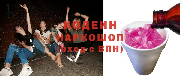 крисы Абаза