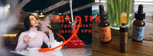 крисы Абаза