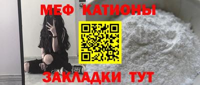 шишки Обь