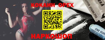 шишки Обь