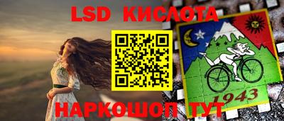 шишки Обь