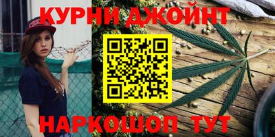 шишки Обь