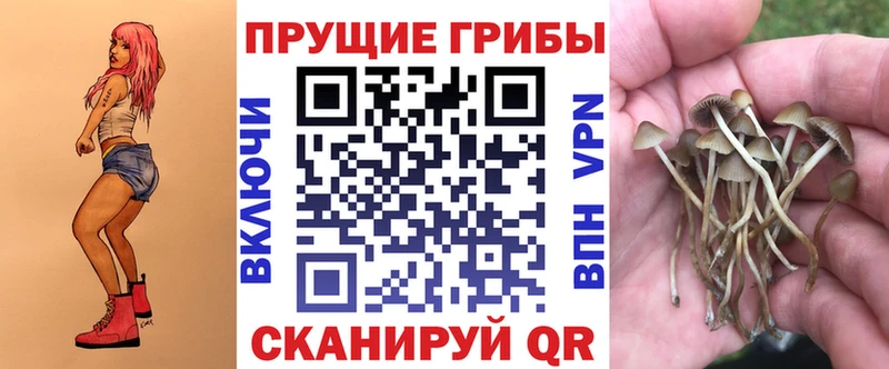 Псилоцибиновые грибы прущие грибы  darknet наркотические препараты  Рассказово  как найти закладки 