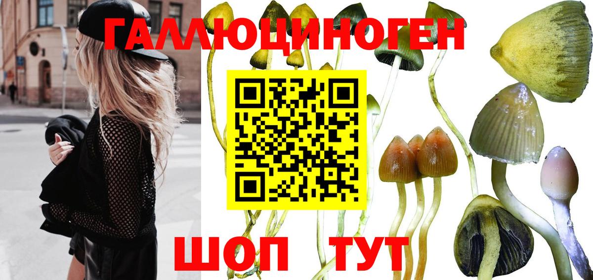 Рассказово  где купить наркоту  Вход с VPN  Псилоцибиновые грибы MAGIC MUSHROOMS  Псилоцибиновые грибы Cubensis 